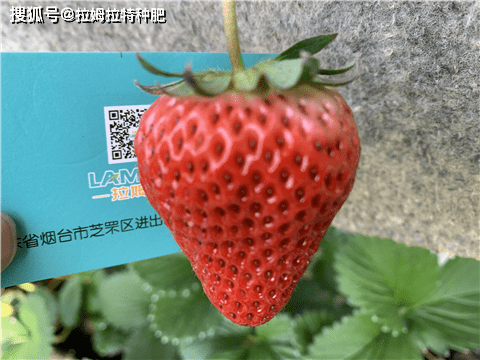 316f572247894df59fdd9988ac5023b3.png