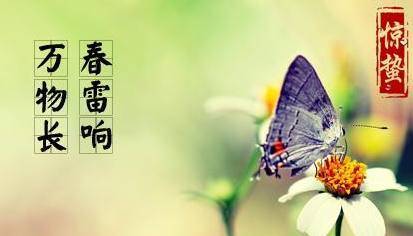 原创2021年惊蛰是哪一天 惊蛰时间几点几分