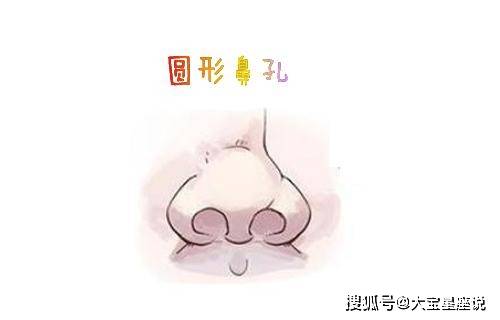 三角形鼻孔好不好