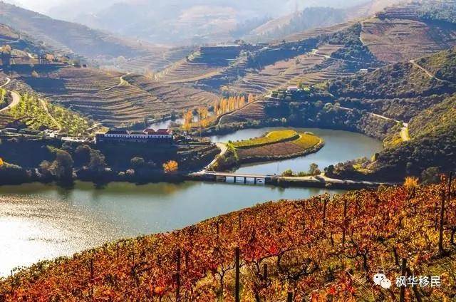 葡萄牙私藏美景杜罗河谷：深厚的文化底蕴与浓醇美酒