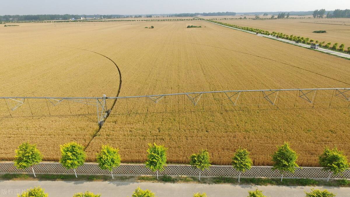 长治市上党区高标准农田建设稳步推进