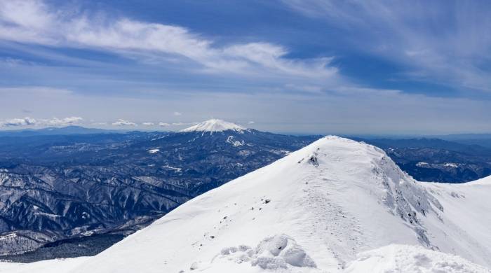 TCL为何盯上奥马电器?李东生的家电资本棋局浮出水面-家电圈官网