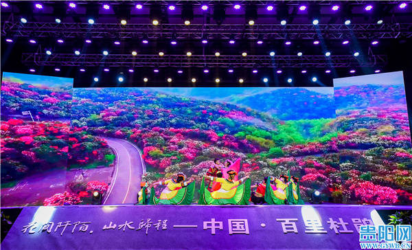 走 看花去 中国 贵州百里杜鹃21年杜鹃花季3月15日开幕 旅游