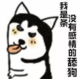 a094ae9b56404ed58cd8e72f18d13033.jpeg