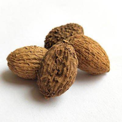 原创一种野生植物名叫阳春砂,看着不起眼,其实价值珍贵很容易被踩踏