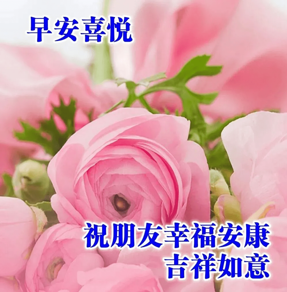 晨祝福語圖片大全,早上好問候句子表情包