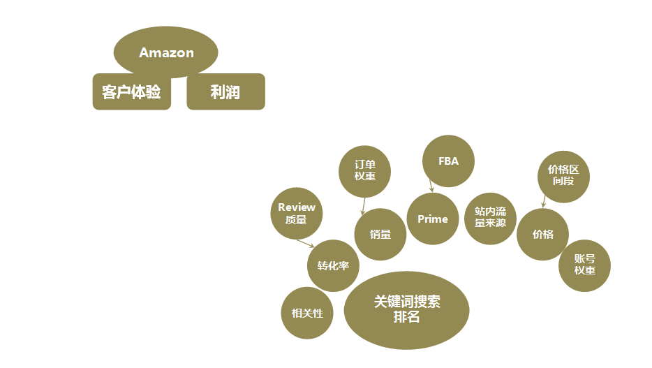亚马逊排名规则_亚马逊图片规则(2)