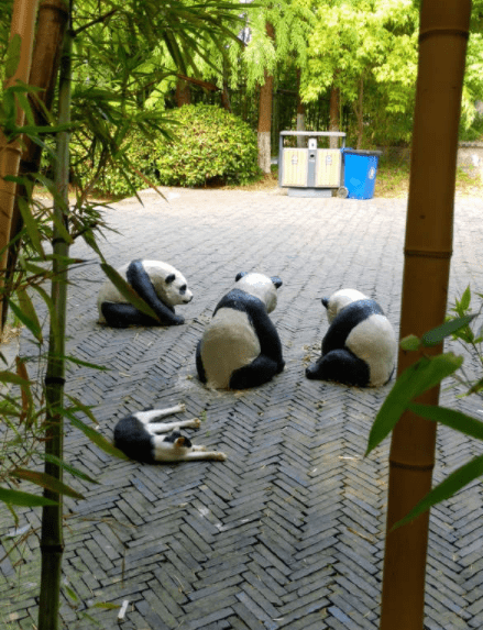 原创
这一脚踢得真准,哥们估计你要倒霉了