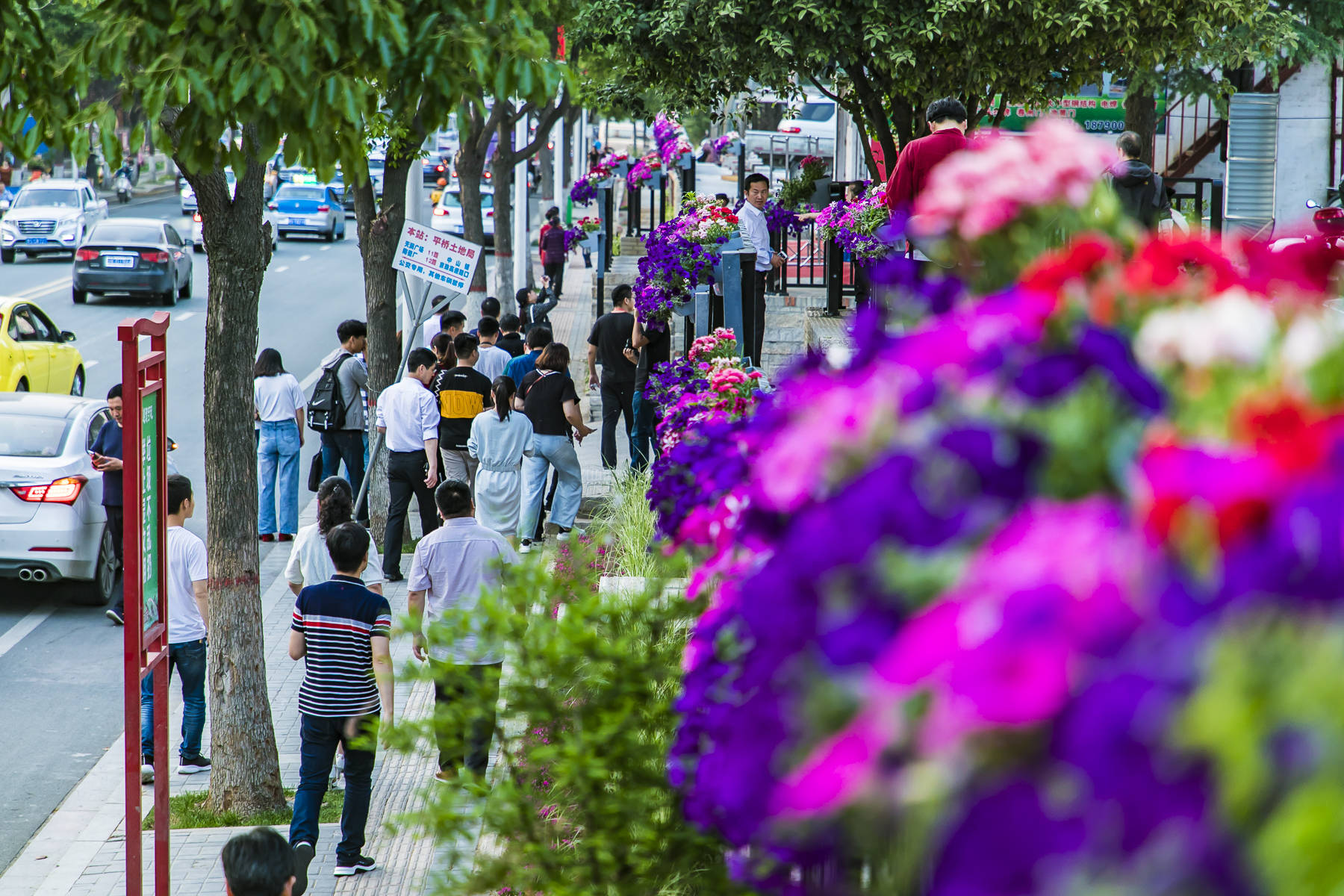 2022中国10大宜居城市最新排名出炉，第一名已经拿了7年冠军[30P]|旅游讨论 - 武当休闲山庄 - 稳定,和谐,人性化的中文社区