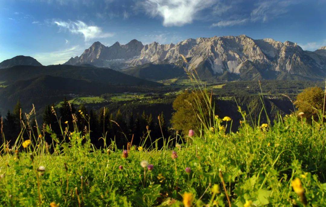 在原木飘香的Rittis Alpin Chalet里仙居，在Dachstein迷人夏天里逍遥！