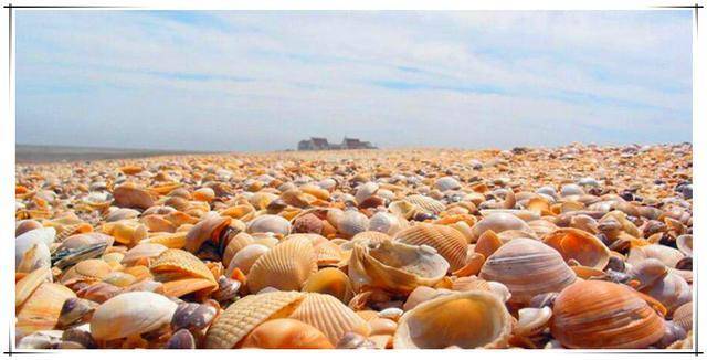 天津贝壳堤是世界著名的三大古贝壳堤之一