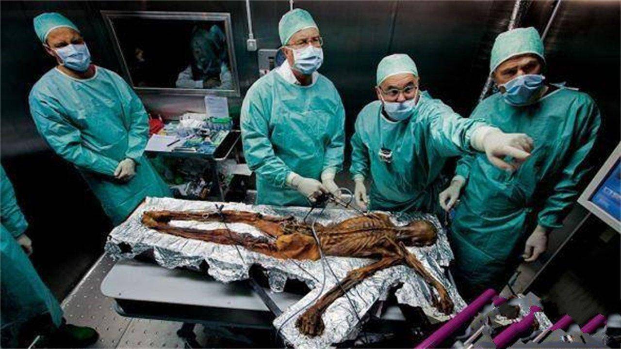 5400年前的奥兹冰人，他的职业是什么？是怎么死的？专家给出答案