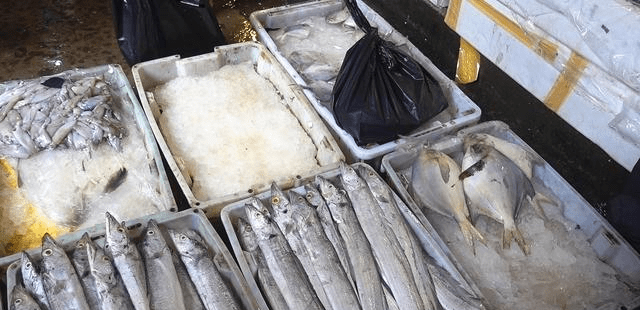 为什么叫佛手螺 0e2c7718903a45f493d1c1ce04358c59.png