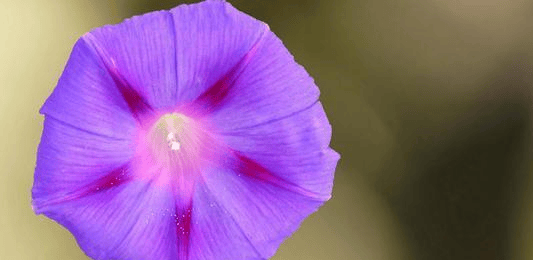 8f7a055e01f04c969986863c5660fbcb.png