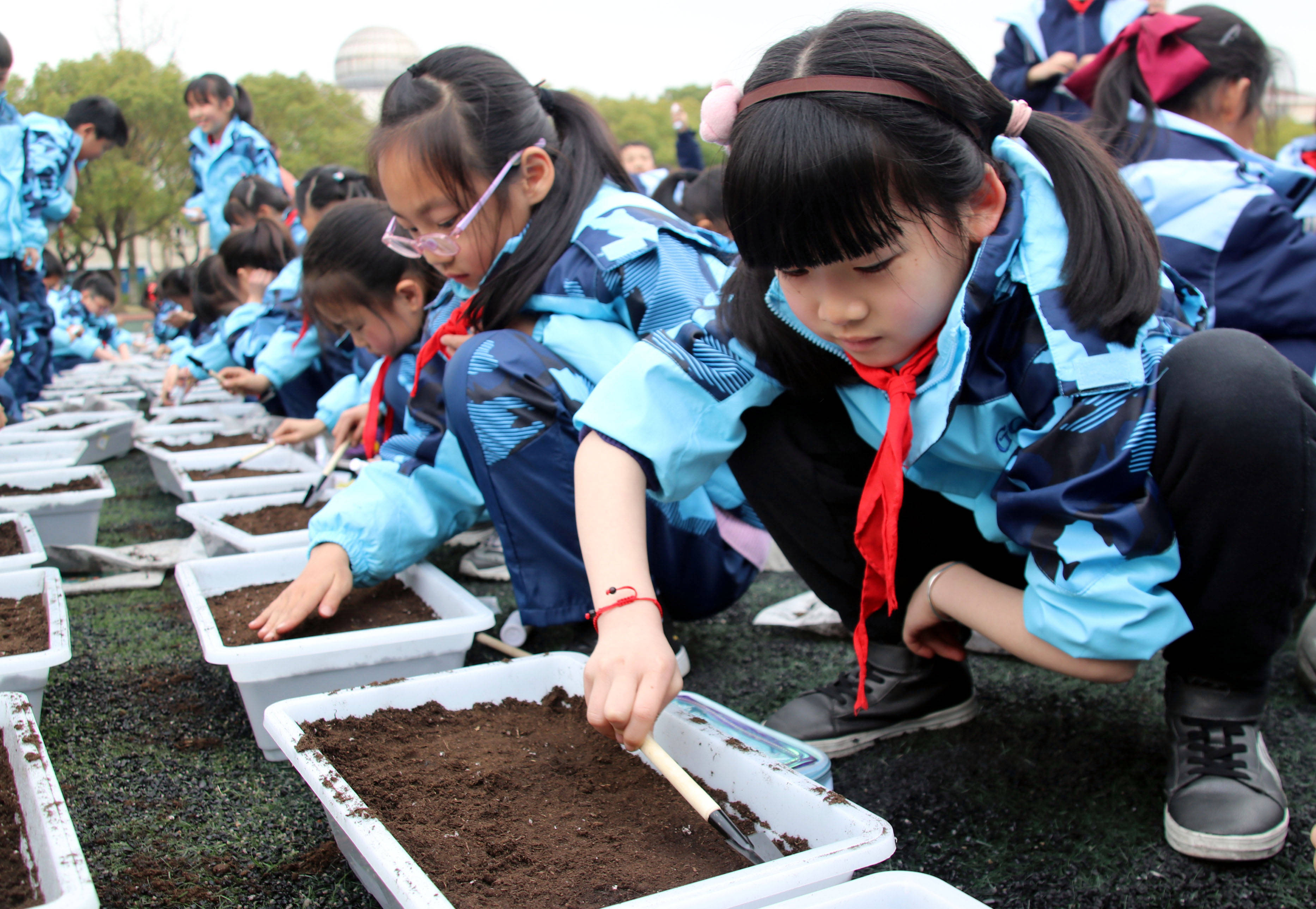 太仓市朱棣文小学开展我与绿蔬共成长劳动教育进课堂主题活动