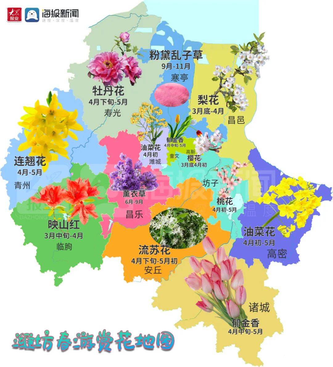 潍坊最新最全赏花地图出炉！赶快收藏！来潍坊看花吧！