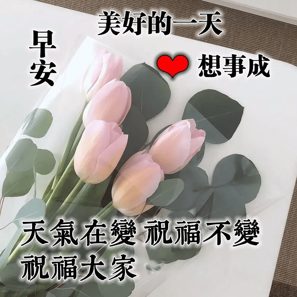 早上好圖片表情祝福語 最新早安祝福問候唯美圖片加句子