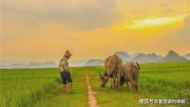 景甜新剧《司藤》堪称宣传片！人间秘境屡被取景，低调得让人心疼