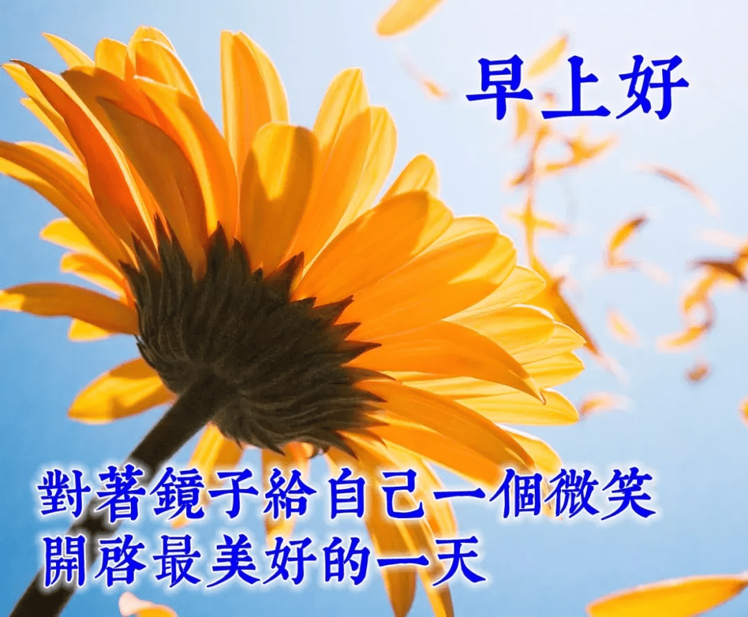 原創最美早晨好動態表情圖片大全早安祝福心語動態圖片