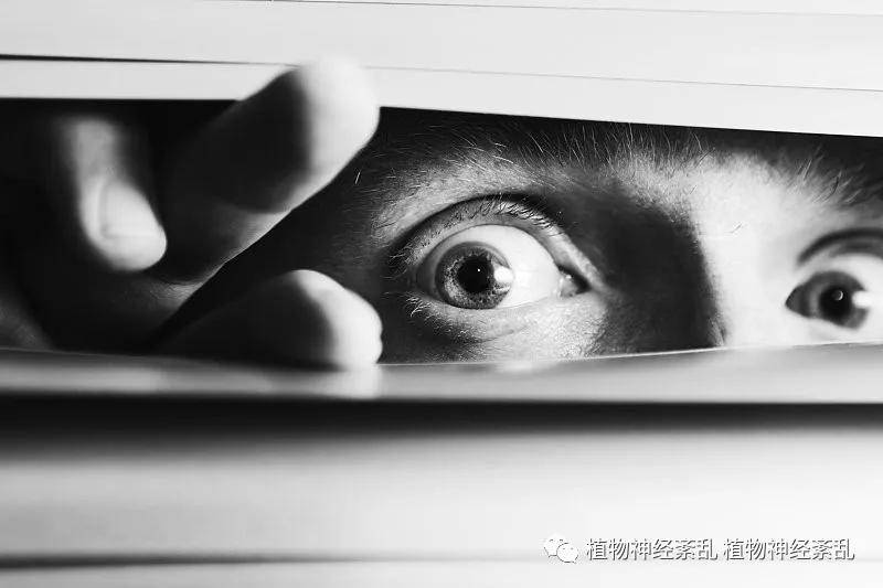 什么才算是真正的惊恐 1f8d11afeb9c4a3bae31ce7ba2a88d38.jpeg