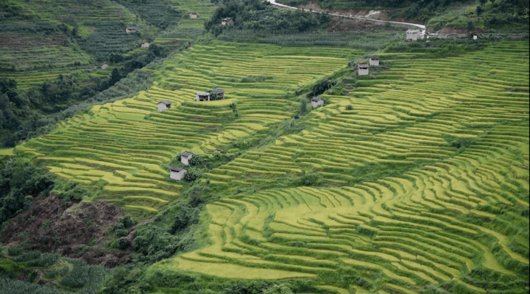 美丽云南(第二季)| 千年茶乡 田园城市——美名:保山·昌宁县