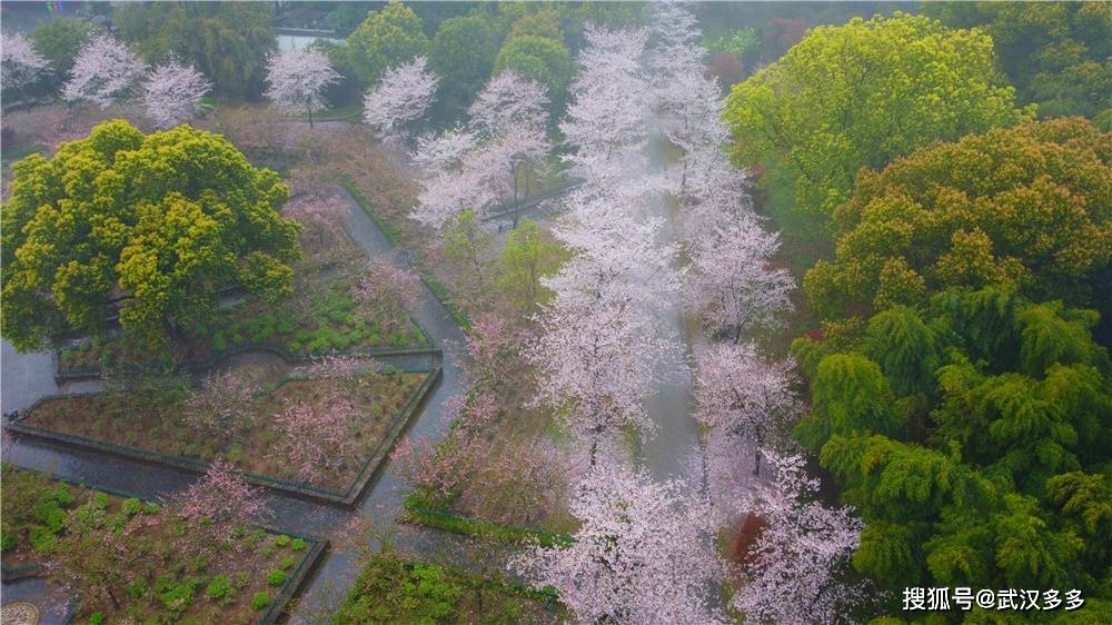 2021牡丹花会