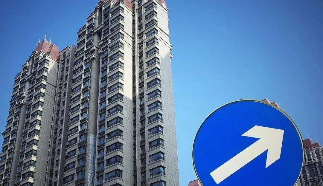 西泽研究投资者文摘2021315