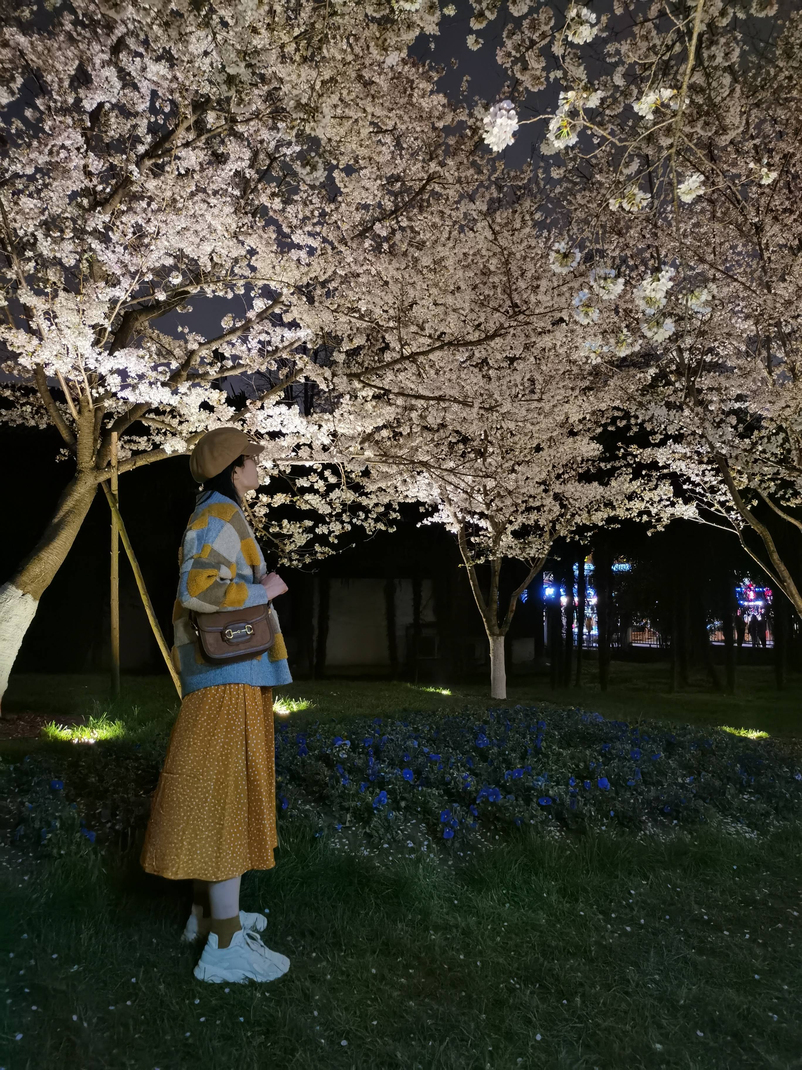 我与樱花合影图片