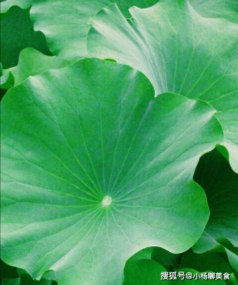 853a78ff67cf4baabb6067db7df071fd.jpeg