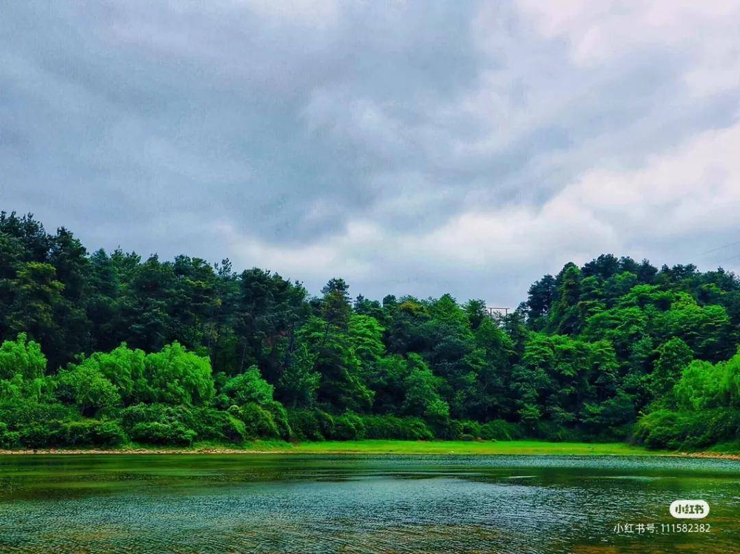 贵州这些宝藏级森林公园，让春天“绿”动起来