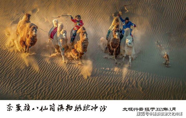 奈曼-宝古图沙漠拍骆驼