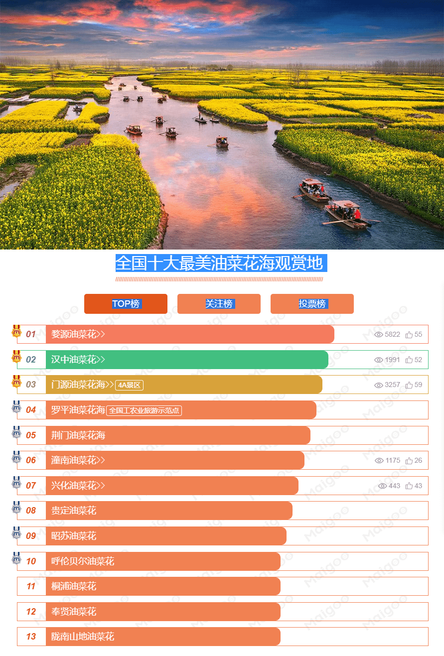 当旅游成为了农民的支柱产业 兴化垛田开启了新时代的新农村 油菜花