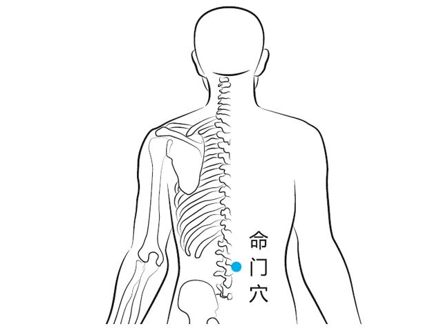 命门的位置图片