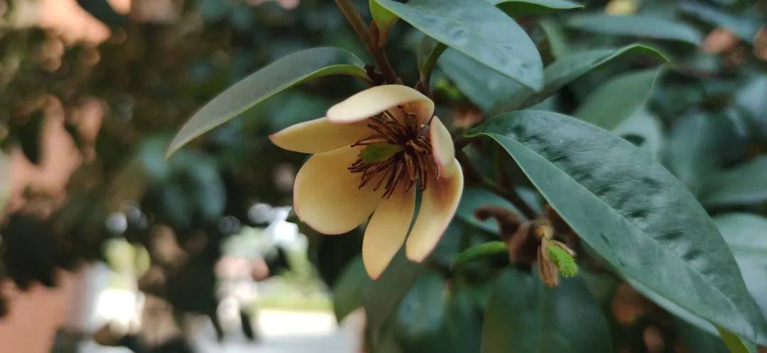 爆照广州南洋理工职业学院十大校花来了