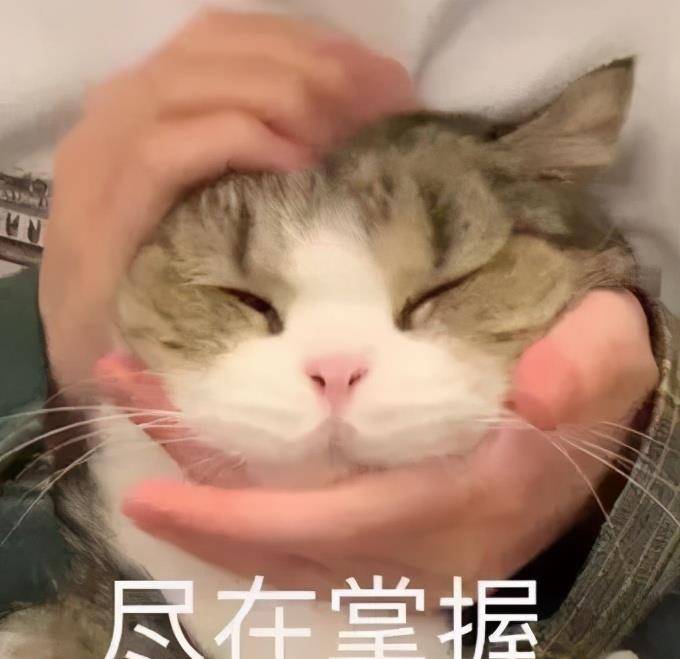 fb31f33e9ebd49029524af36925c4bed.jpeg