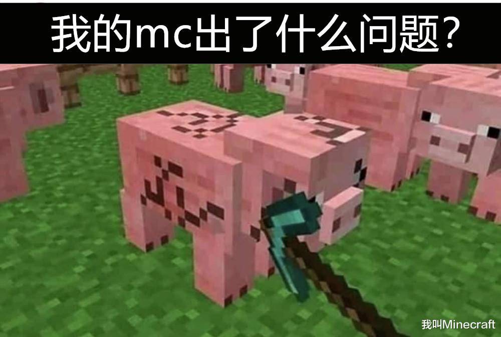 那些只有minecraft玩家能 秒懂 的梗 11张图 这是什么方块 Mc