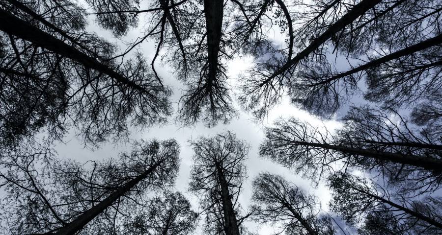 智能家居巨头云集，谁能给出最优答案？-家电圈官网