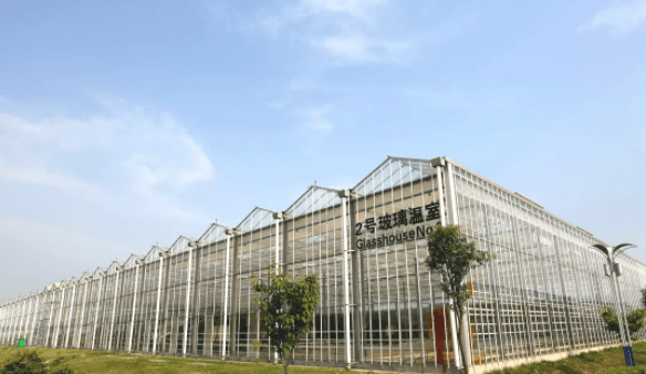 建设|【江苏绿港】智能玻璃温室打造现代农业典范！