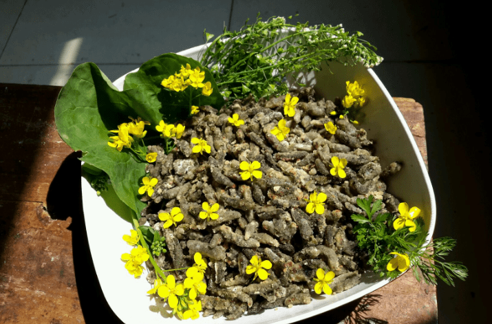 野菜就属它长得丑 却比香椿还鲜嫩 每年就这几天有 别错过了 桃树 野菜就属它长得丑 却比香椿还鲜嫩 每年就这几天有 别错过了 桃树