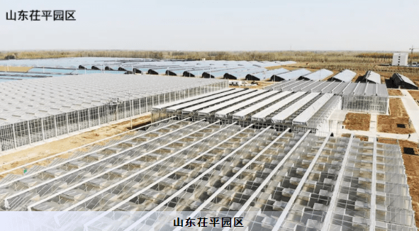 建设|【江苏绿港】智能玻璃温室打造现代农业典范！