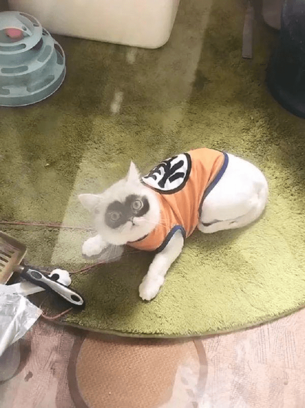 原创
每日一笑:妹子你俩可真是调皮啊,这是在传授什么秘密功夫呢