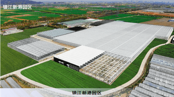 建设|【江苏绿港】智能玻璃温室打造现代农业典范！