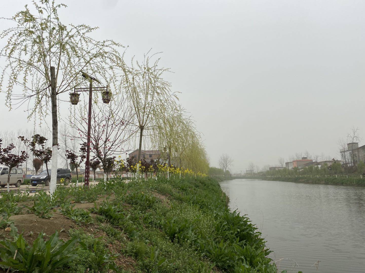 新蔡县练村镇组织开展春季植树造林工作观摩评比活动