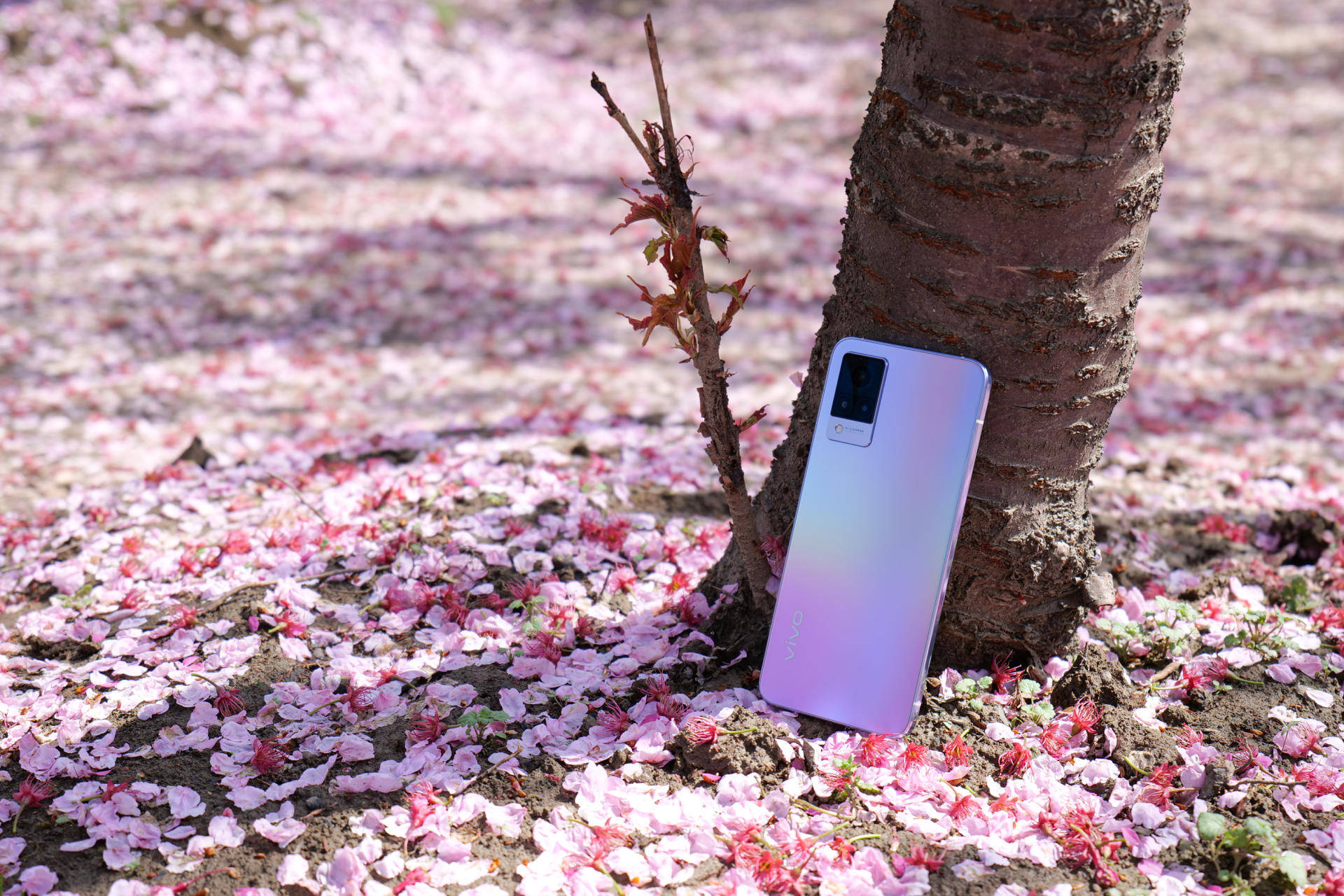 只有极致轻薄就够了?vivo s9或已成为5g手机颜值标杆