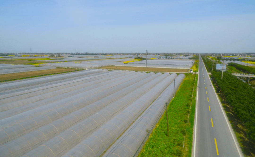 案例分享江蘇省東臺市國家現代農業產業園以產業甜促進鄉村興