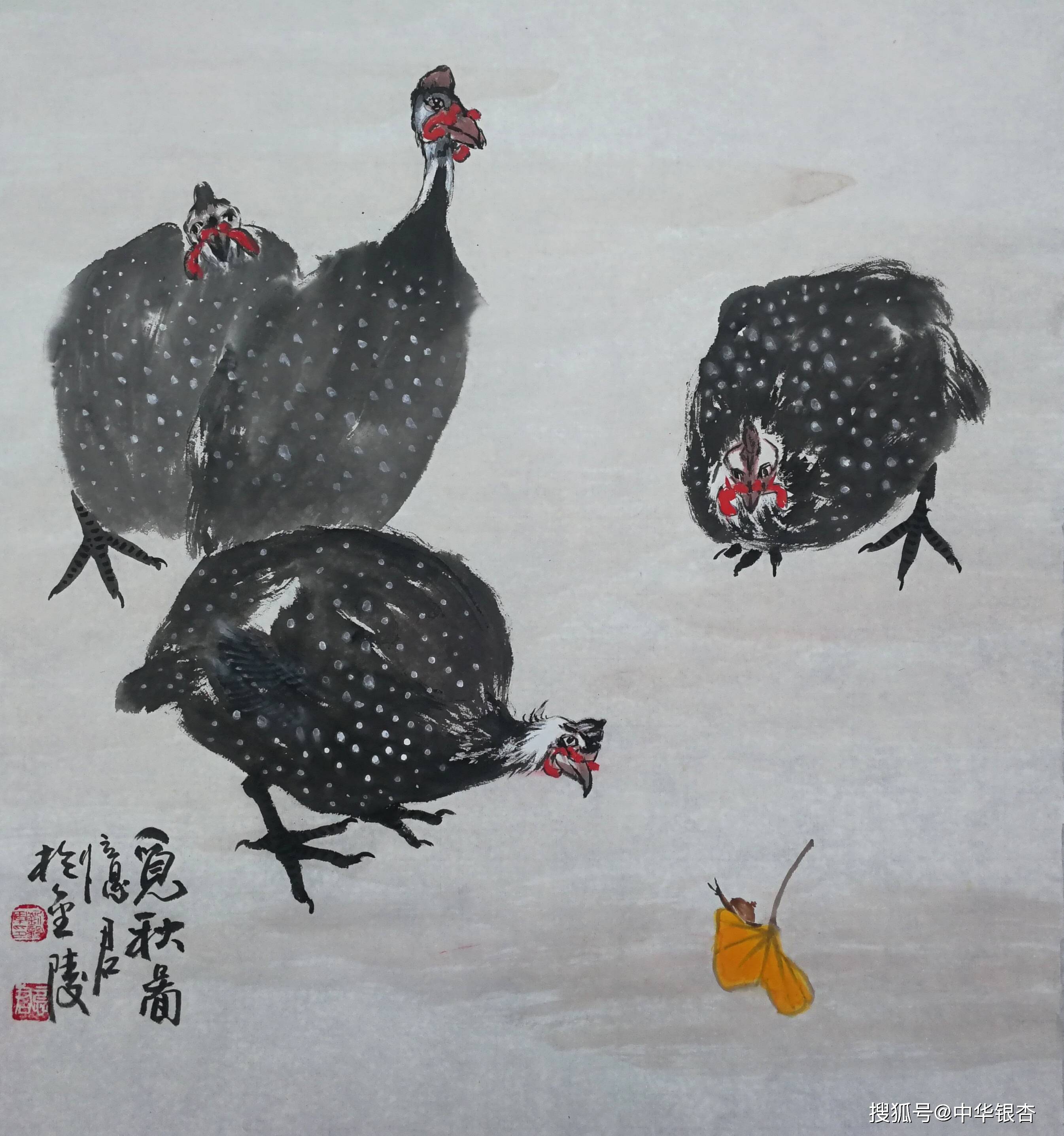 —忆君先生眼中与笔下的珍珠鸡