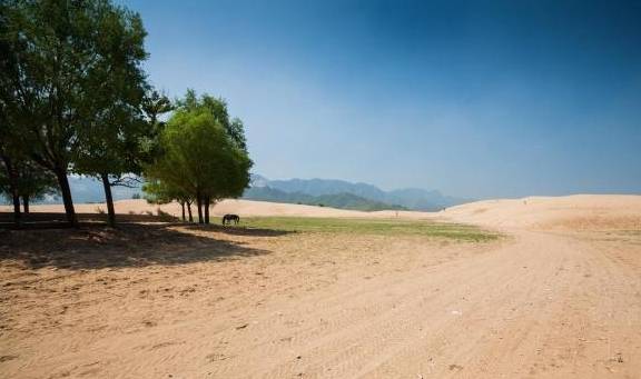 世界上最“丢人”的沙漠，被中国治理到只剩200亩，成旅游胜地