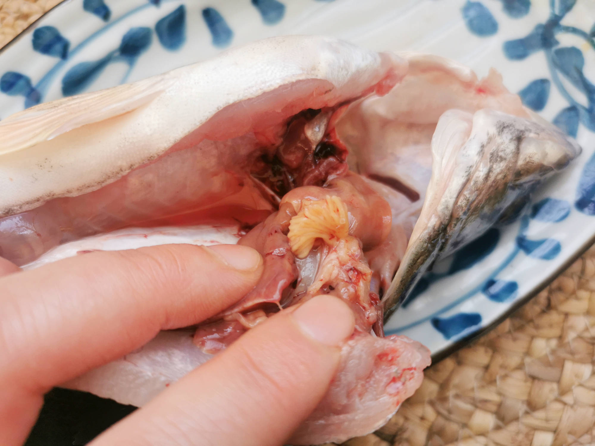 春天,遇到这鱼别手软,鲜嫩肥美营养高,肉多刺少适合老人孩子吃