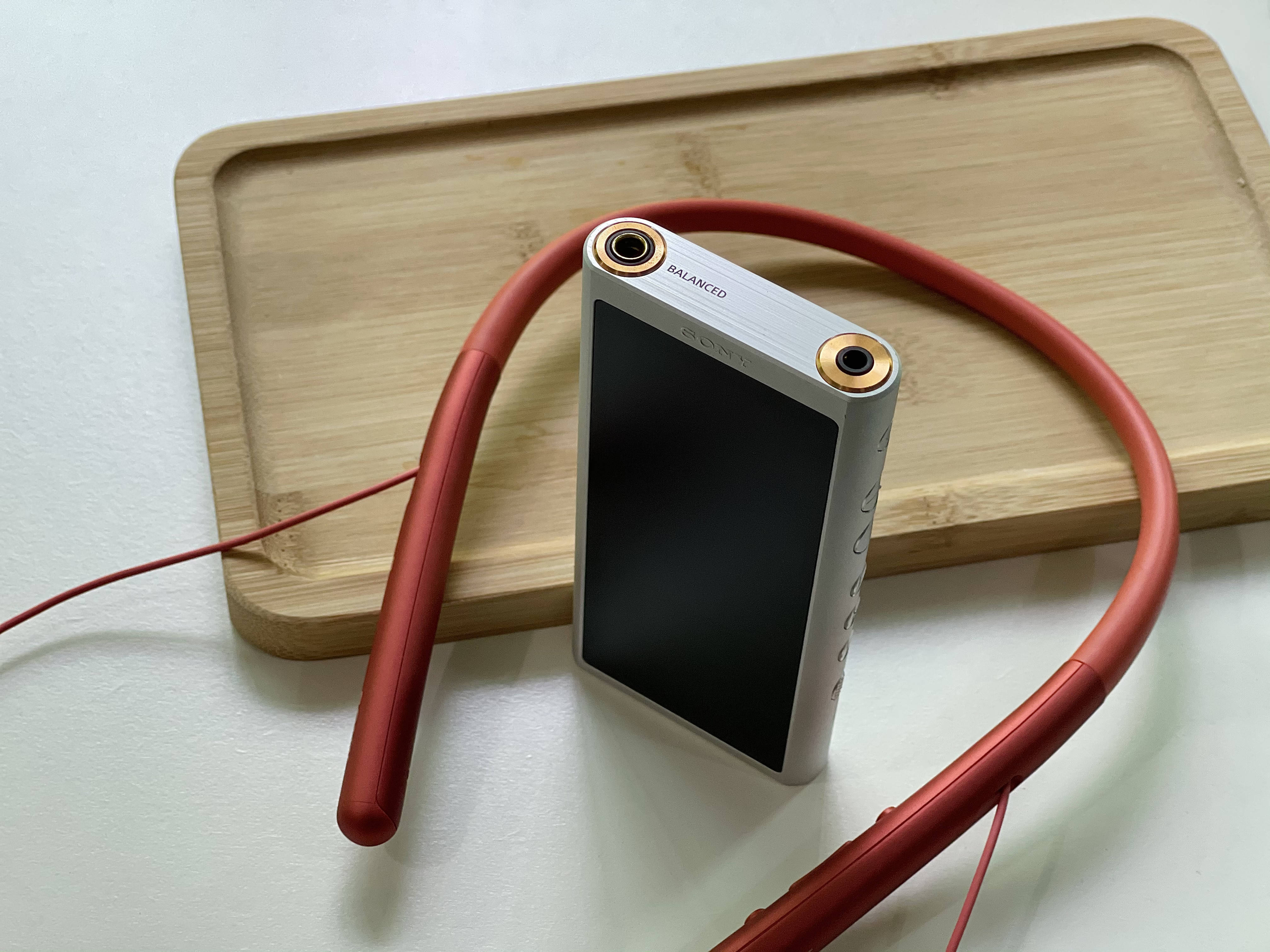 索尼nw-zx300a上手实拍,是发烧友喜欢的味道-搜狐大视野-搜狐新闻