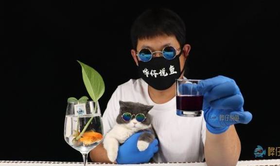 别再神化高锰酸钾了 在观赏鱼领域 它并没有你想象的那么神奇 鱼缸